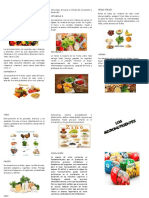 Triptico Micronutrientes