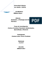 anatomia tarea 3.docx