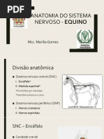 anatomiadosistemanervoso-equino-171126181717 (2).pdf