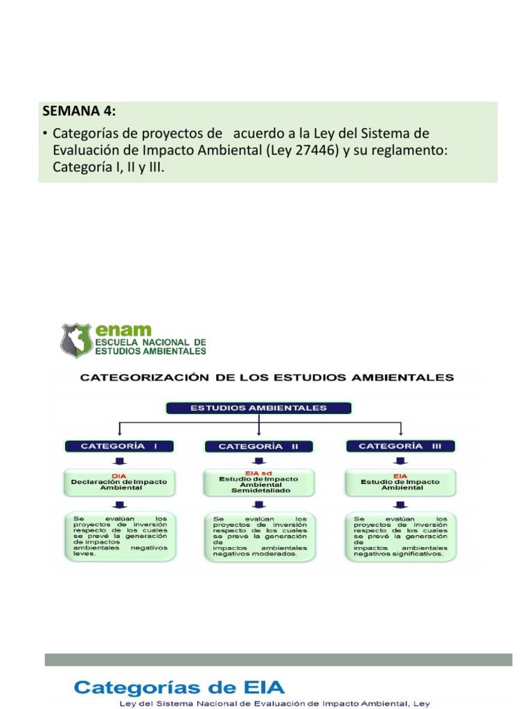 Clasificación de EIA en Proyectos de Transporte | PDF | Evaluación de ...