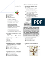 Examen Del Tercer Bimestre