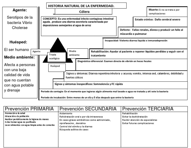 Historia natural del cólera y prevención | PDF | Diarrea | Medicina CLINICA