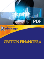 Gestion Financiera Maide 02