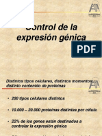 6-Control de La Expresión Génica