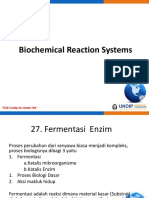 Biochemical Reaction Systems