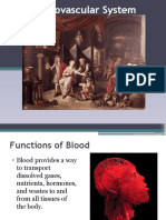 Cardiovascular System1