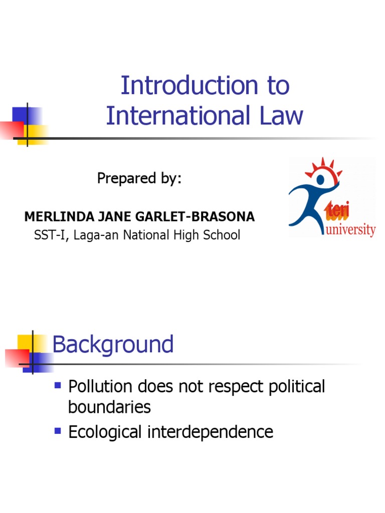 Introduction to International Law Basics | PDF | Treaty | International Law