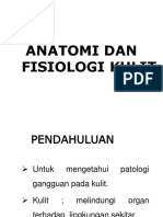 Anatomo & Fisiologi Kulit