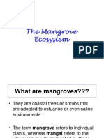 Mangrove Handout 2015-16