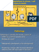 Fileshare.ro_curs Anatomie Patologica