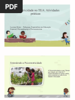 psicomotricidade-no-tea.pdf