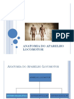 Anatomia Do Aparelho Locomotor