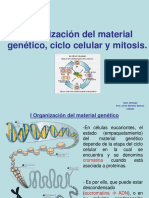 Ciclo celular y mitosis II Medio JMS.pptx