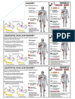 Sindrome GUILLAIN-BARRÉ PDF