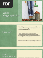 ciclosbiogeoqumicosguacarbonooxignioazoto-140203155504-phpapp01