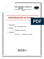 Informe Sincronizacion de Ovinos