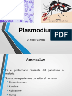 Plasmodium y Toxoplasma