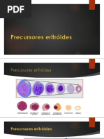 6. Precursores eritroides