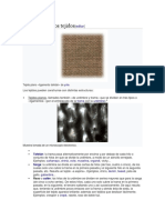 Estructura de Los Tejidos