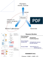 10 Via Pentosas _Met Glicogeno.pdf