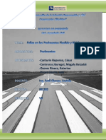 352042852-Fallas-Pavimentos-Informe-Final.docx