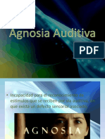 Agnosia Auditiva
