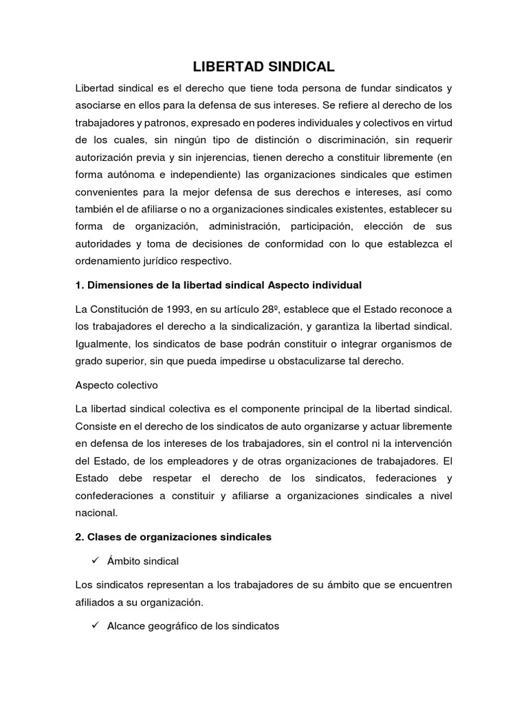 Libertad Sindical PDF Sindicato Información del gobierno