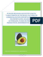 PLAN_DE_NEGOCIOS-AGUACATE_O_PALTA_CARACT.pdf