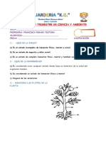 Examen de Cienciay Ambient