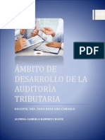 Ámbito de Desarrollo de La Auditoría Tributaria