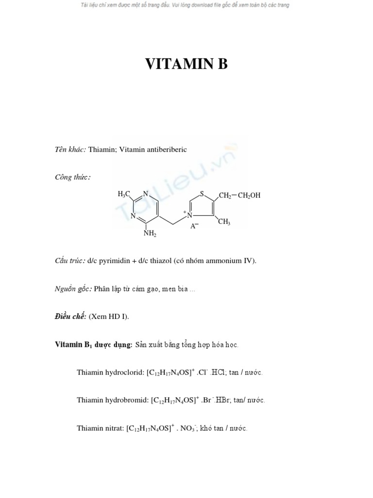 Vitamin B1 PDF