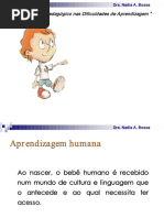 O Olhar Psicopedagógico Nas Dificuldades de Aprendizagem - Dra. Nadia a. Bossa