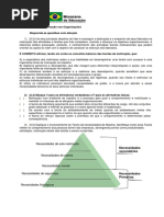 Atividade_Motivação Nas Organizações2