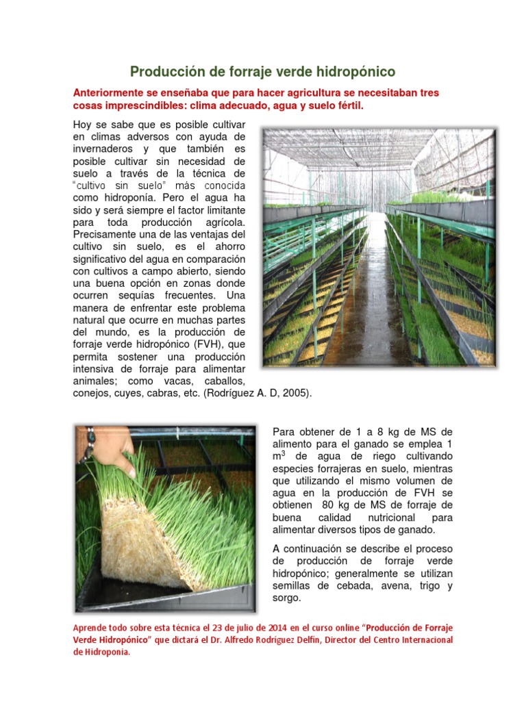 Produccion de Forraje Verde Hidroponico IMPRIMIR PDF | PDF | Hidroponia ...