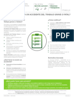 FICHA Accidentes graves y fatales 2015.pdf