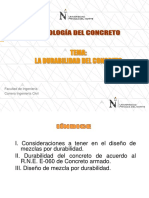 Patologia Del Concreto - Durabilidad