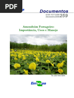 Amendoim forrageiro EMBRAPA