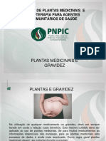 OK Plantas e Gravidez.ppt