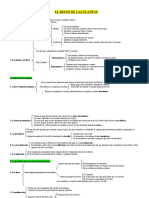 Tema 2 CM PDF