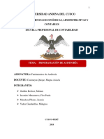 Programación de Auditoría PDF