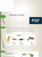 Energy Flow in Ecosystems: The Food Chain