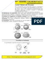 Classificação dos óvulos e desenvolvimento embrionário