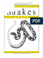 Ma Snake Guide