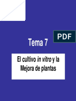 TEMA 7 - El Cultivo in Vitro y La Mejora de Plantas PDF