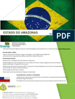 Apresentação Iner Amazonas.pdf