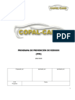 Programa-Prevencion-de-Riesgos COPAL CARS.doc