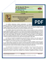 Revista-13-La-Vicuña.pdf
