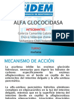 Alfa Glococidasa