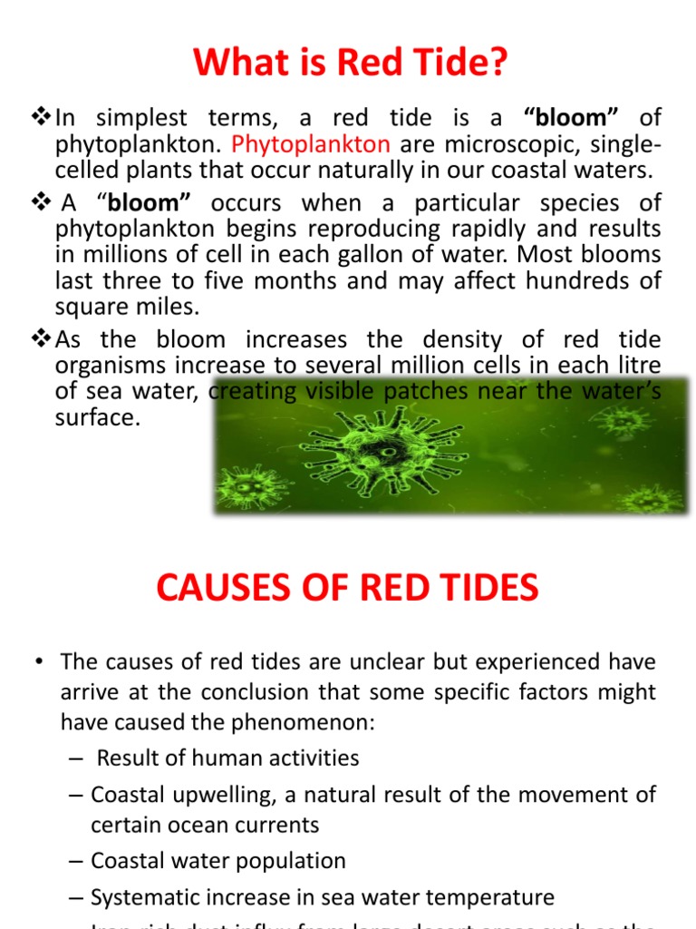 Understanding Red Tide: Causes and Effects | PDF