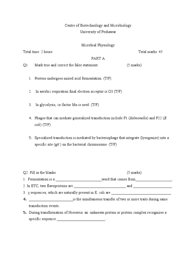 Final Term | PDF